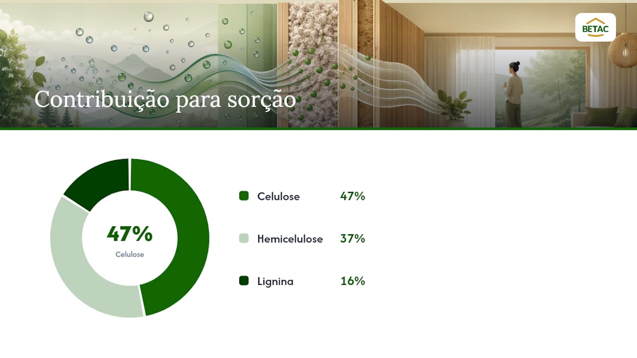 Esquema ilustrativo das diferentes contribuições dos componentes da madeira para a absorção de humidade