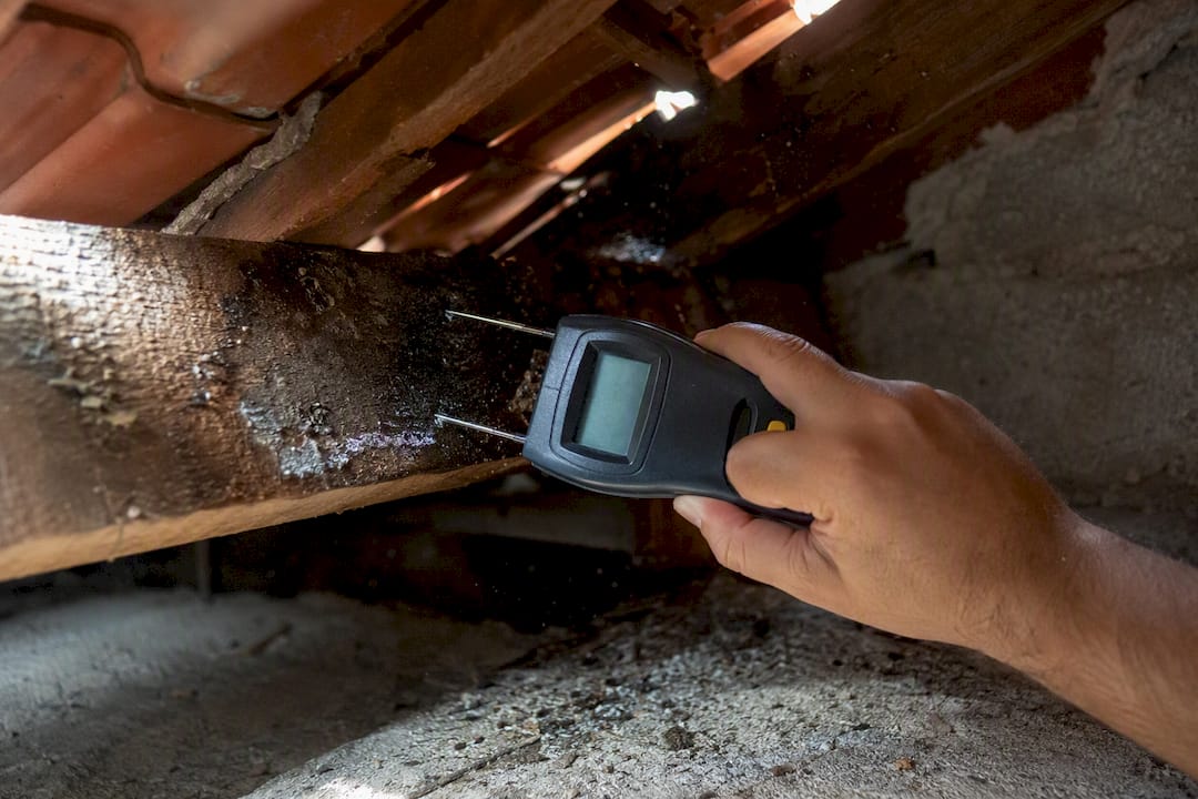 Mão a usar medidor de humidade numa viga do telhado
