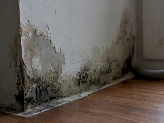 Parede interior na esquina com condensação e bolor